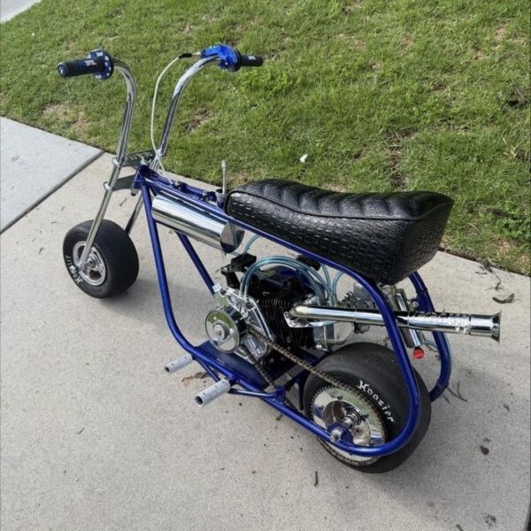 VOLTS GTS Custom Mini Bike — Fully Built 212 Chrome Forks