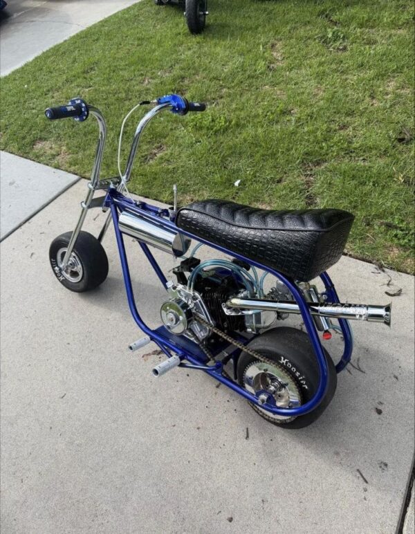 VOLTS GTS Custom Mini Bike — Fully Built 212 Chrome Forks