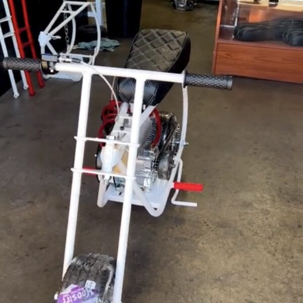 Volts White Diamond Custom Minibike