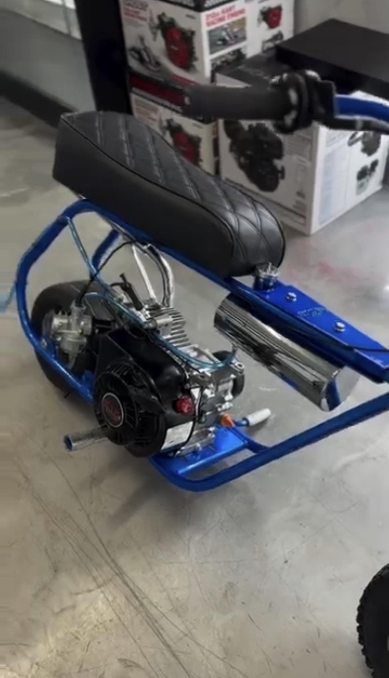 Volts Blue Street Mini Bike - Image 3