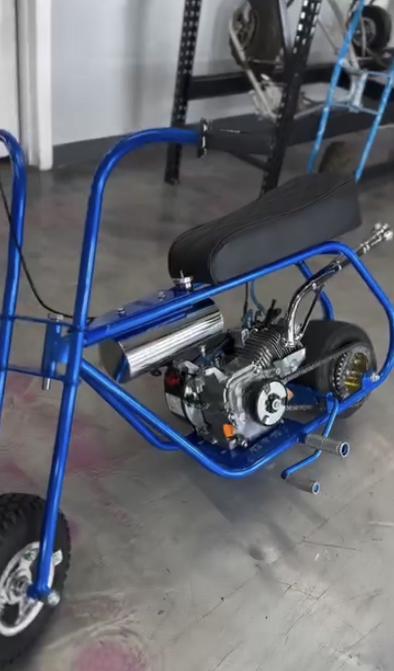 Volts Blue Street Mini Bike - Image 4